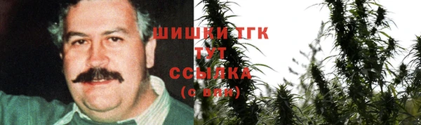 индика Баксан