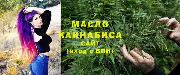 индика Баксан