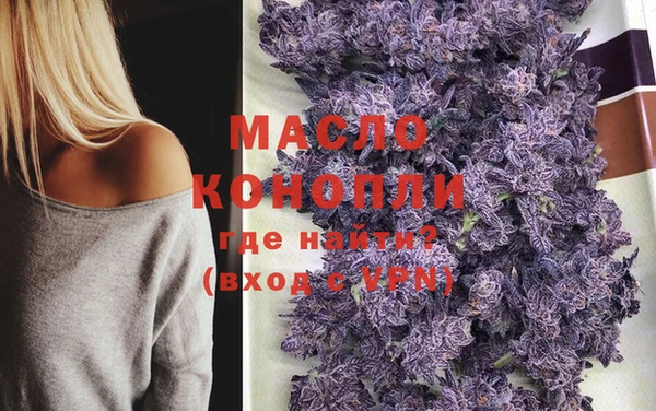 индика Баксан