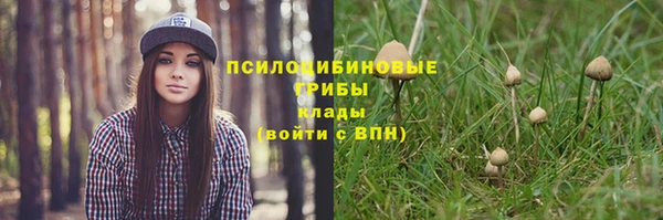 а пвп мука Балабаново