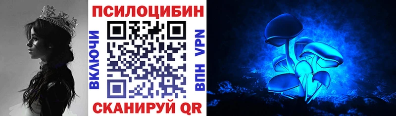 Галлюциногенные грибы Psilocybine cubensis  закладка  ссылка на мегу tor  Трубчевск 